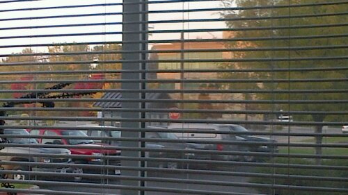 IMG_00000437.jpg image